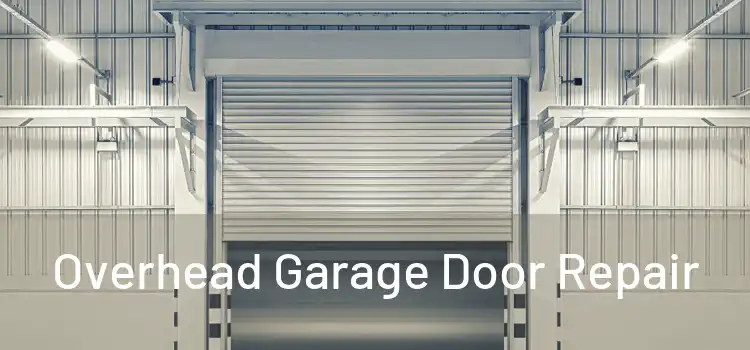  Overhead Garage Door Repair 